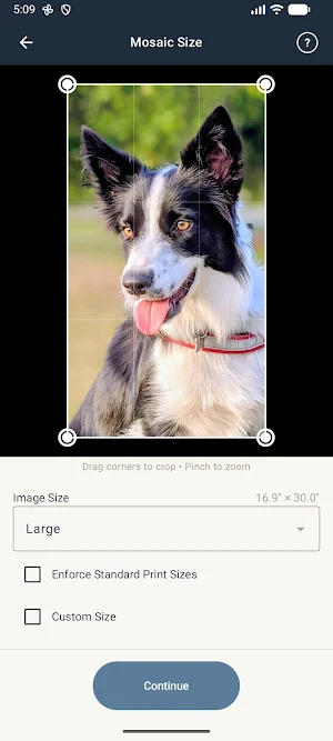 Photo Mosaic Maker Screenshot 2