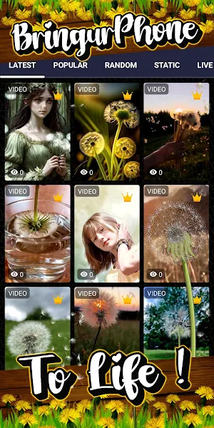 dandelion wallpaper Screenshot 1