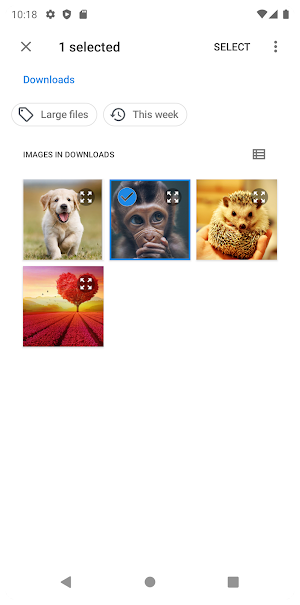 Resize Compress Image MB to KB Screenshot 2