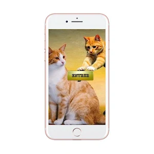 Femelle des animaux- Noms des  Screenshot 0