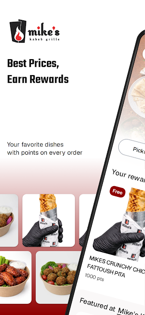Mike's Kabob Grille To Go Screenshot 0