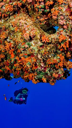 Scuba Diving Wallpaper Screenshot 1
