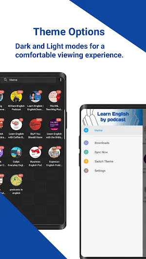 Learning English podcast Screenshot 2