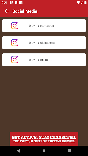 Brown Recreation Screenshot 3