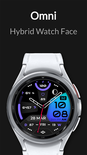 Omni: Hybrid Watch Face Screenshot 2