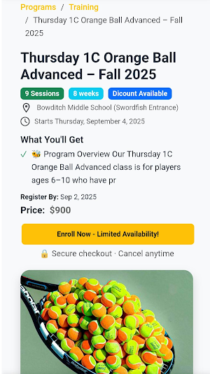 BeeTennis Screenshot 3