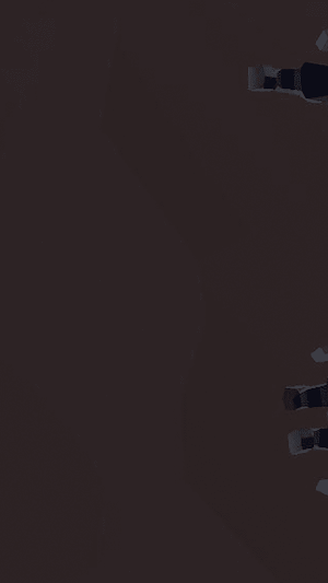 Ninja Warrior Screenshot 0