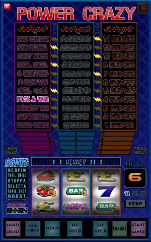 Power Crazy Fruit Machine Slots Game Screenshot 1