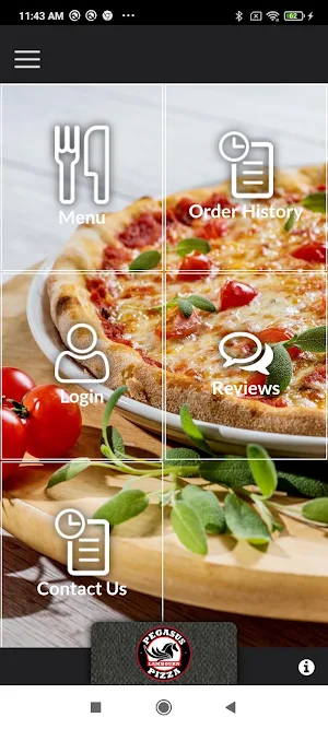 Pegasus Pizza Lambourn Screenshot 0