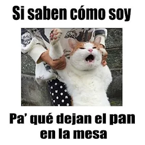 Imagenes chistosas 2 Screenshot 0