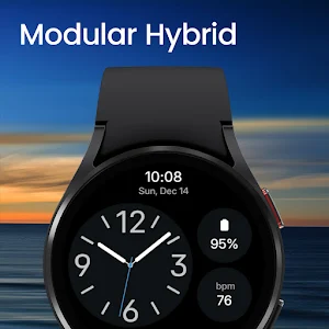 Modular Hybrid Watch Face Screenshot 0