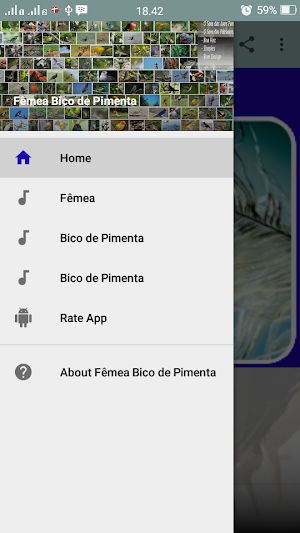 Canto Fêmea Bico de Pimenta Screenshot 1