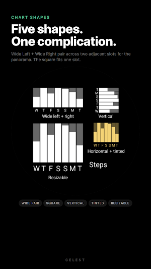 Fit Data Complication Screenshot 1