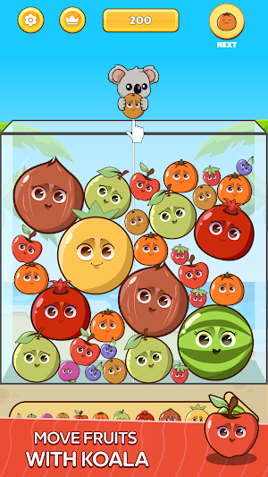 Watermelon Koala Screenshot 3