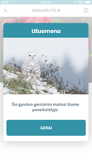 Ulba GO Screenshot 3