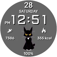 Animated Cat