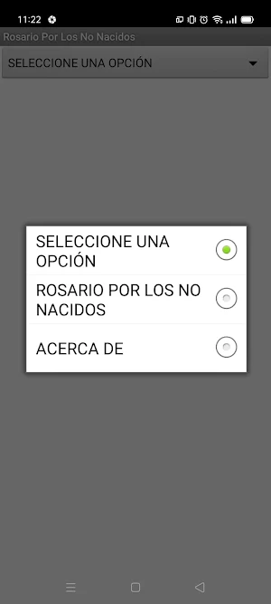 Rosario por los no nacidos Screenshot 3