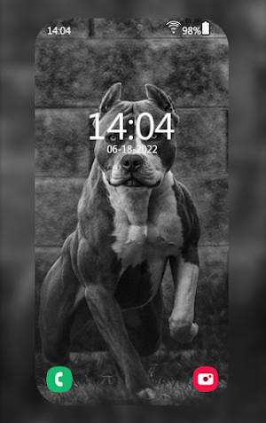Pitbull Wallpapers Screenshot 2
