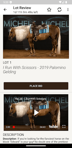 North Star Horse Sales Screenshot 2