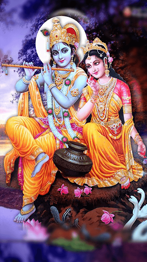 Lord Krishna Wallpapers Screenshot 2