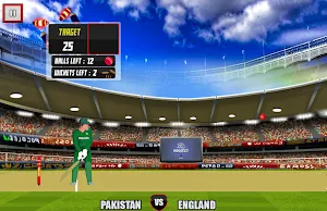 Real World Cup Cricket Game Screenshot 2