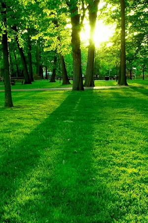Backgrounds And Wallpapers HD Screenshot 3