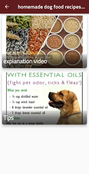 homemade dog food recipe Screenshot 0