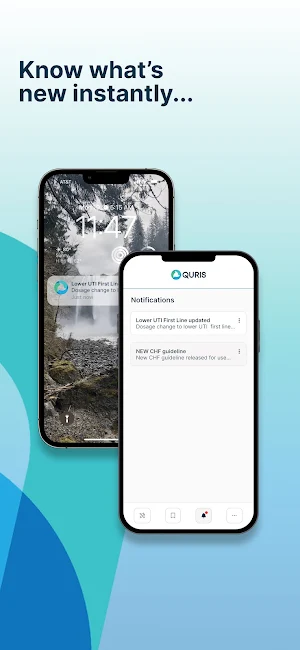 Quris Screenshot 3