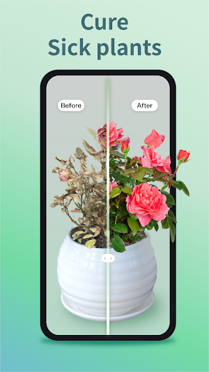 Plant Identifier & Plant Care Screenshot 2