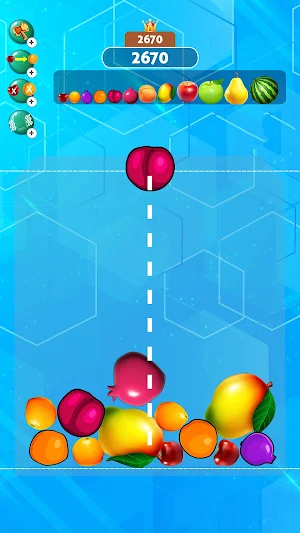 Fruit Drop Jelly Merge Melon Screenshot 2