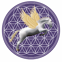Horses As Healers