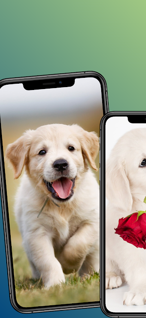 Puppy wallpapers-4k Background Screenshot 3