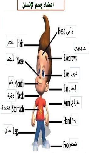 تعلم الانجليزية بسرعة Screenshot 0