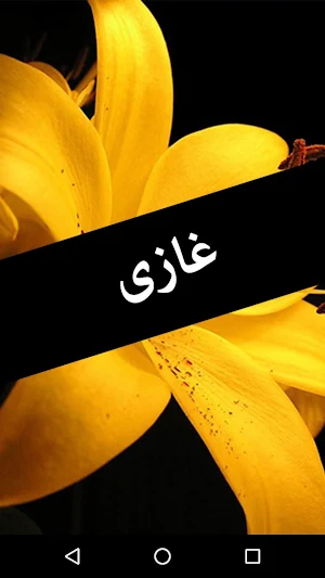 Ghazi by Abu Shuja Abu Waqar - Offline Urdu Novel Screenshot 0