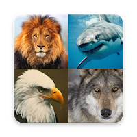 Birds and Animals - Global