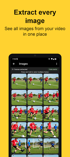 Video to Photo: vidFramer Screenshot 2