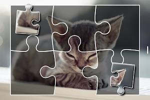 Kittens Jigsaw Puzzle Games Screenshot 3