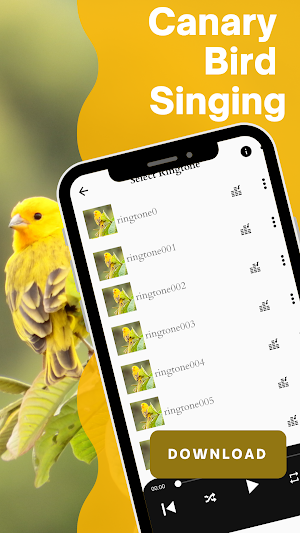 Canary bird singing screenshot 1