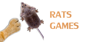 Games for cat - catch the rat Screenshot 0