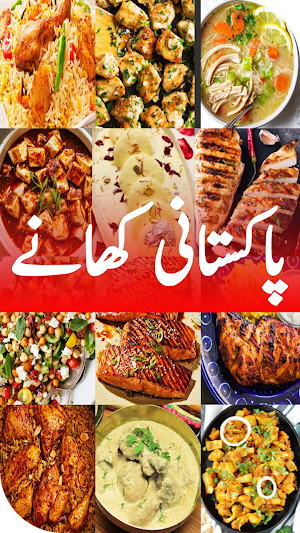Pakistani Recipes in Urdu Offline - Food Recipes Screenshot 0