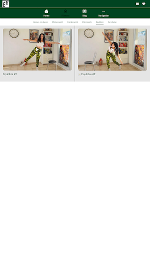 ELAN VITAL Screenshot 2