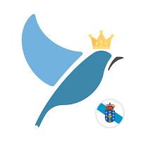 Galician Language Tests
