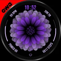 Dahlia Flower Animated 034
