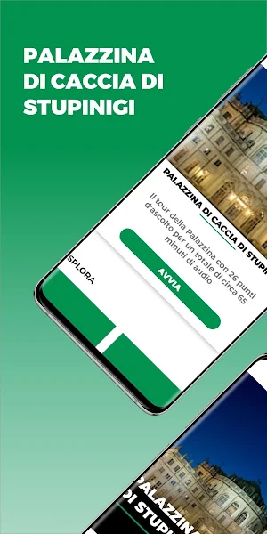 Palazzina di caccia di Stupinigi Screenshot 0