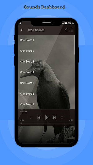 Crow Sounds Screenshot 1