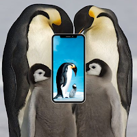 Wallpaper Pinguin