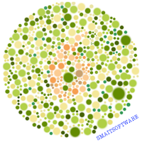 Color Blind Test