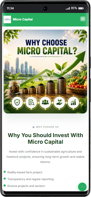 Micro Capital Screenshot 0