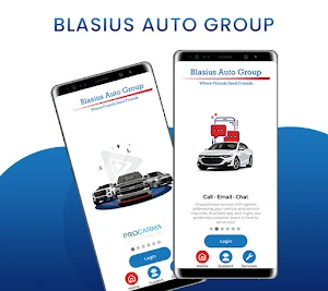 Blasius Auto Care Screenshot 0