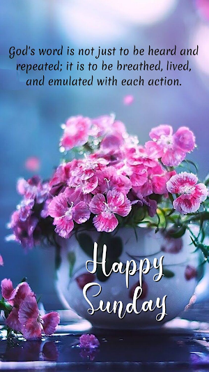 Happy Morning Sunday Blessings Screenshot 2